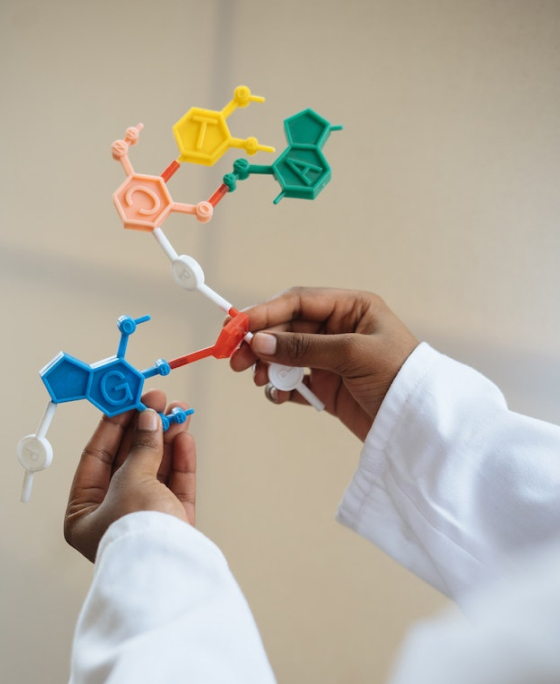 How Long Does It Take for Semaglutide to Work?